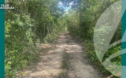 Terreno en Venta Cancún 500m2