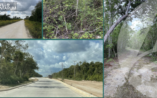 Terreno en Venta Cancún 500m2