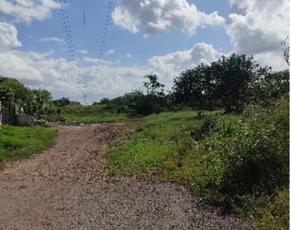 Terreno en venta Merida 4,000m2